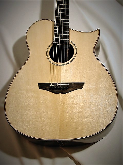 Steelstring van Bergeijk guitar 