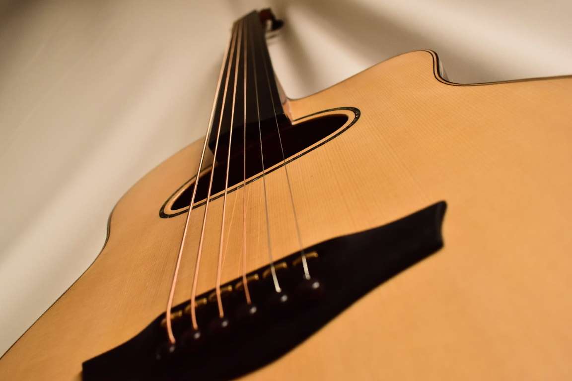 Acoustic Baritone fretless 