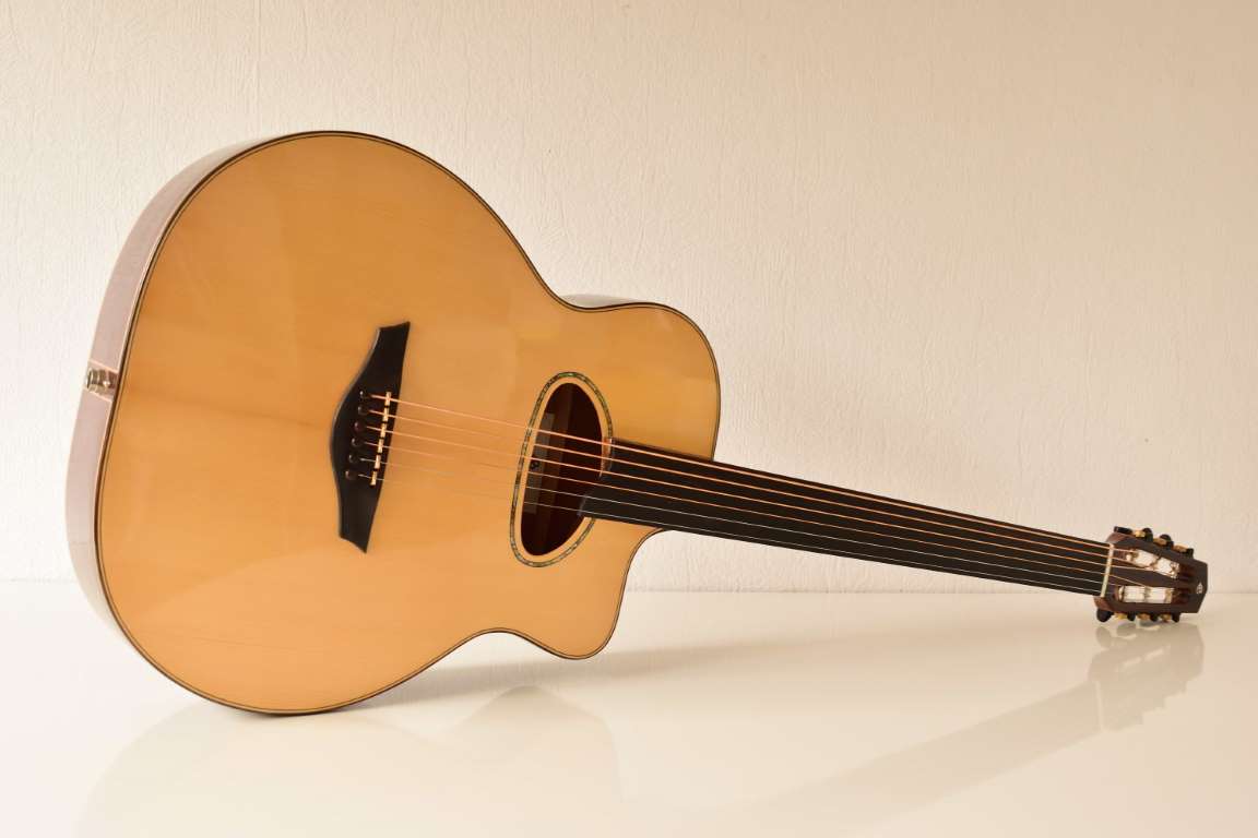 Baritone acoustic fretless 