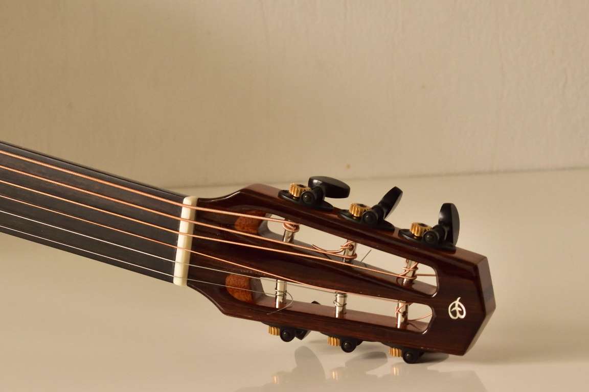 Baritone acoustic fretless 