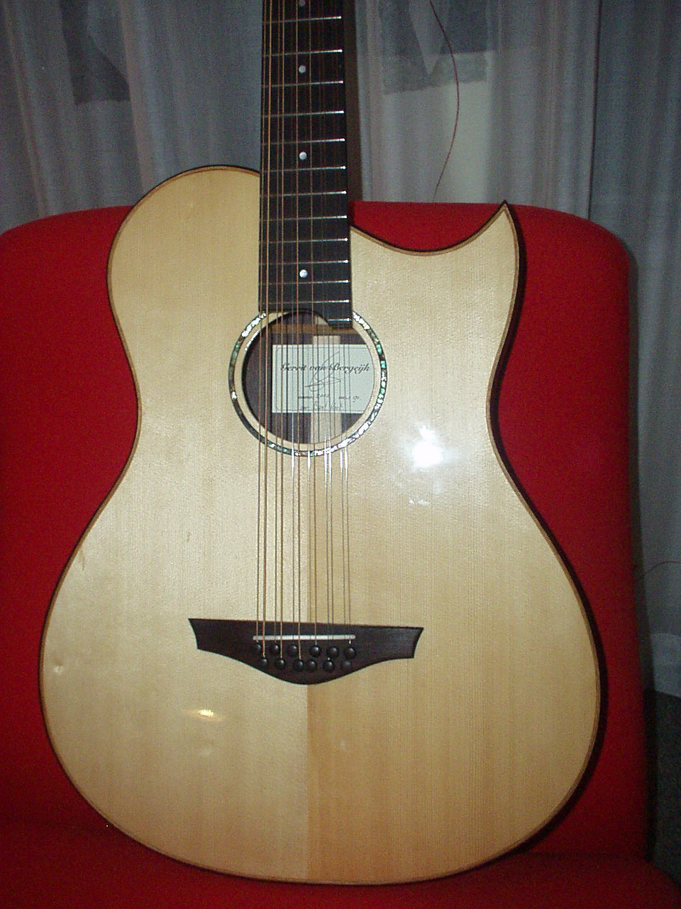 12 string made for Bert Koot 